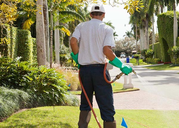 About Whittemore IA Pest Control